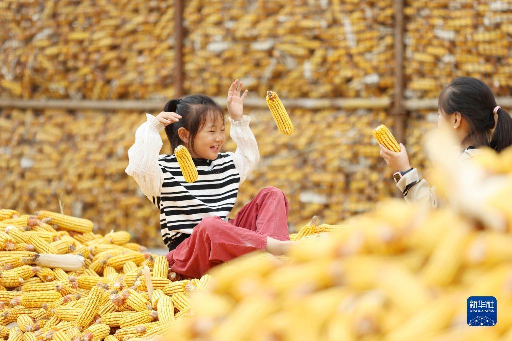 威尼斯娱乐人城